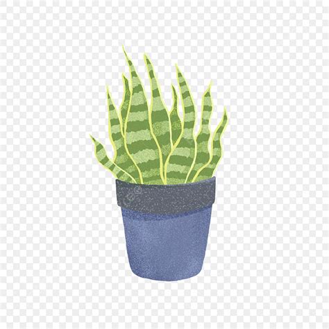 Pintado A Mano Elementos Verdes En Maceta PNG Planta Verde Planta