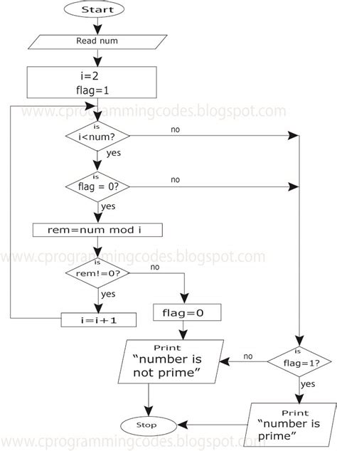 Gerneral Flowchart To Determine Prime Number Hot Sex Picture