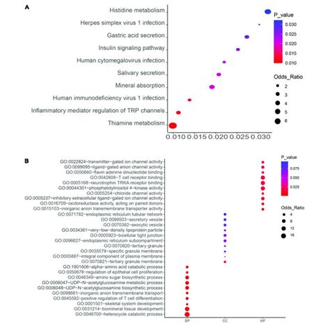 Kegg Pathway A And Go Enrichment B Analyses Of The Top Ranked Pm