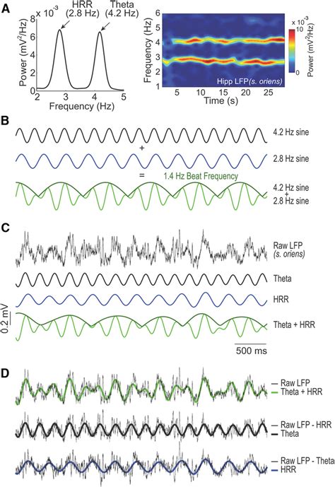 LFP signals simultaneous exhibiting HRR and oscillations show frequency ... 