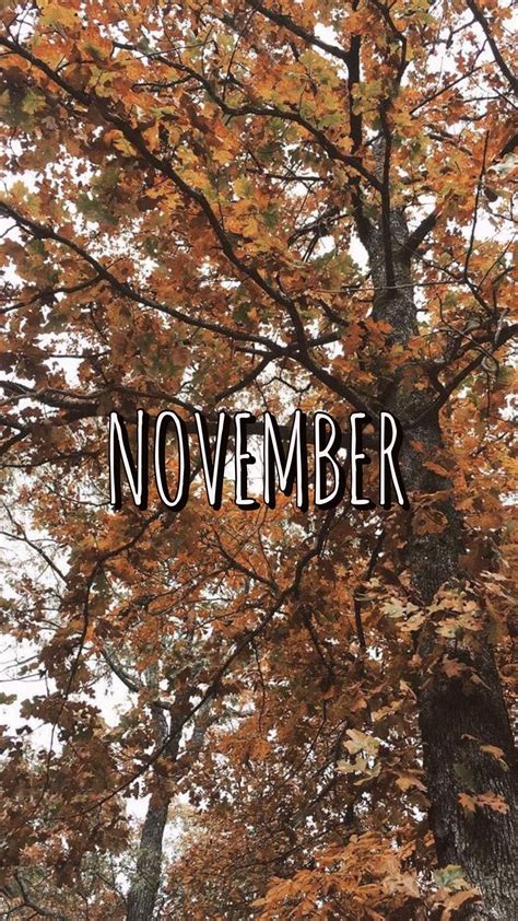 93 Cute Aesthetic November Wallpaper free Download - MyWeb