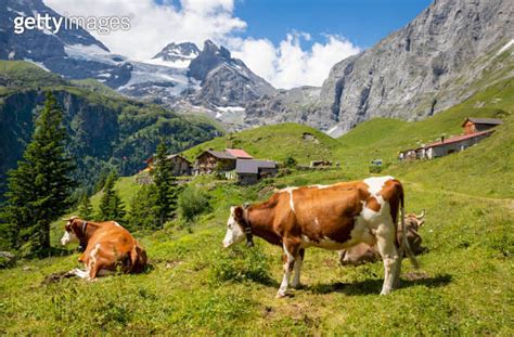 The Hineres Lauterbrunnental Valley With The Breithorn And Wetterlucke