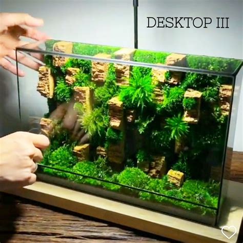 Jual Kaca Terarium Desktop Iii Terrarium Glass Geometric Wadah Vas