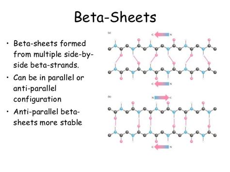 Chapter 4 (part 1) protein structure introduction- 2nd structure