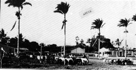 Cfp Centro De Forma O De Professores Da Ufrb Fotos Antigas De Amargosa