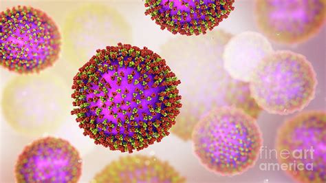 Measles Virus Photograph By Kateryna Kon Science Photo Library