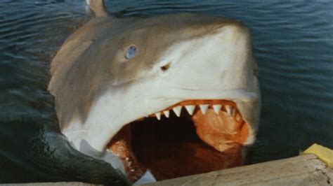 Jaws 1975 Shark