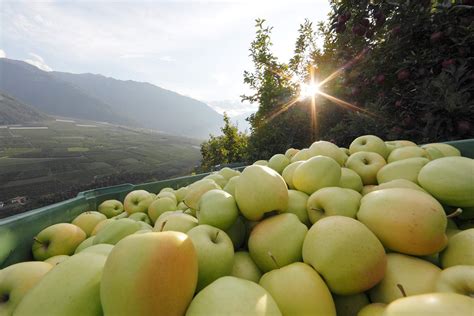 Manzanas Naranjas Y Peras Los Tres Alimentos Con El Iva Rebajado Que