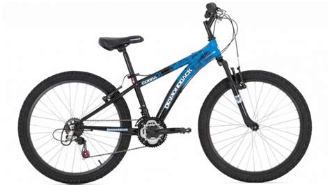 12 Best 20-inch Mountain Bikes for Kids