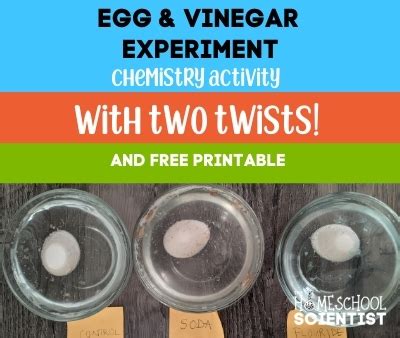 Egg Experiment with Vinegar and Two Cool Twists - The Homeschool Scientist