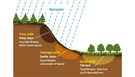 How Does Climate Affect Soil Formation? Easy Guide