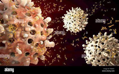 B cells and antibodies, illustration Stock Photo - Alamy