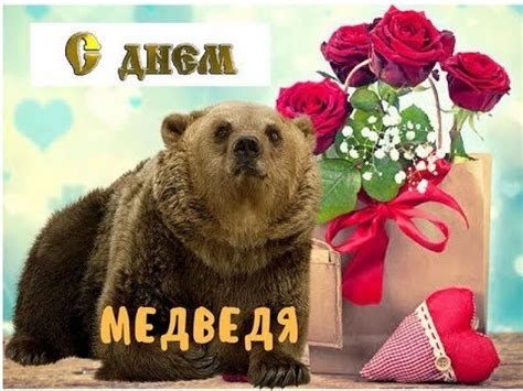 13 декабря - День медведя - YouTube