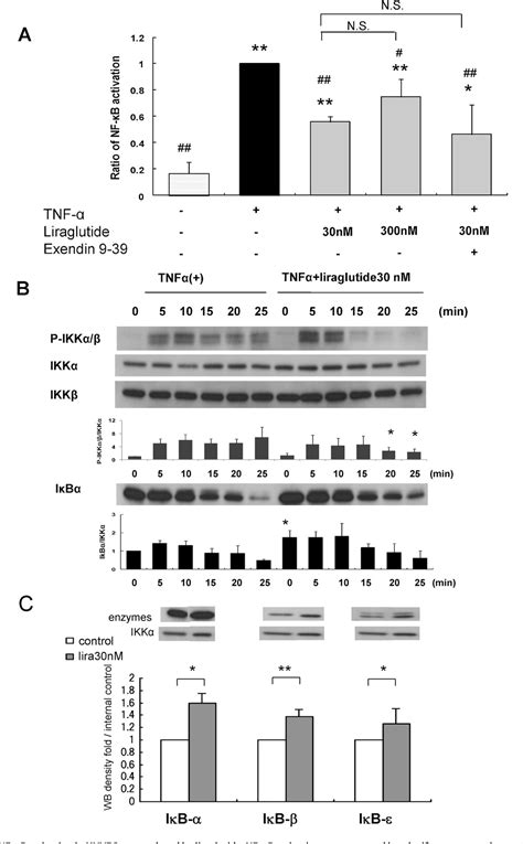 Figure 3 From Glucagon Like Peptide 1 Analog Liraglutide Reduces TNF