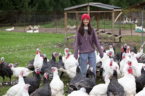 Turkey Farm By Stocksy Contributor Jill Chen Stocksy