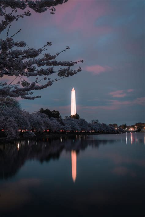 Washington Monument Cherry Blossom Long Exposure Etsy