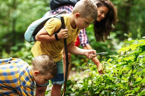 Notre Top Des Activit S Nature Pour Les Enfants Citizenkid