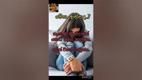 ගැහැණු මෙහෙමයි🥺මියෙන හිරුhearttouching Quotes Love Lovestatus