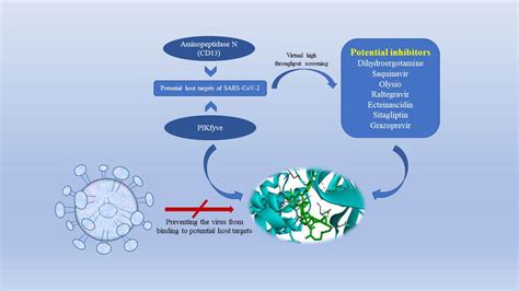 Virtual High Throughput Screening Potential Inhibitors Targeting