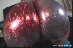 Help Shiny Ass Needs Identification Freeones Forum The Free Sex Community