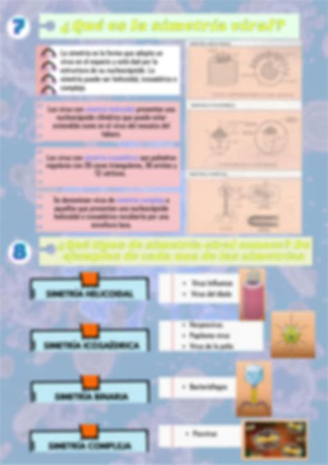 Solution Preguntas Y Respuestas De Los Virus Microbiolog A Studypool