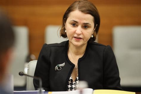 At Eu Gulf Cooperation Council Meeting Formin Odobescu Reiterates