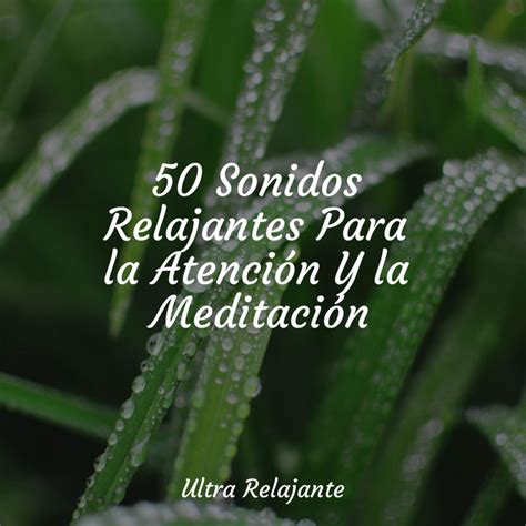 50 Sonidos Relajantes Para la Atención Y la Meditación Album by