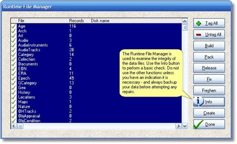 runtime file manager