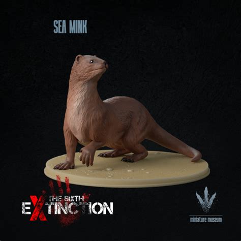 Descargar Sea mink : Neogale macrodon de Miniature Museum