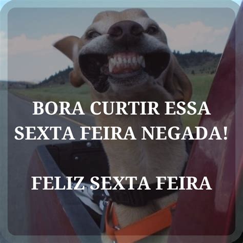 Frases Sexta Feira Engraçadas - Frases engraçadas de Feliz Sexta-feira para um Dia de muita Curtição