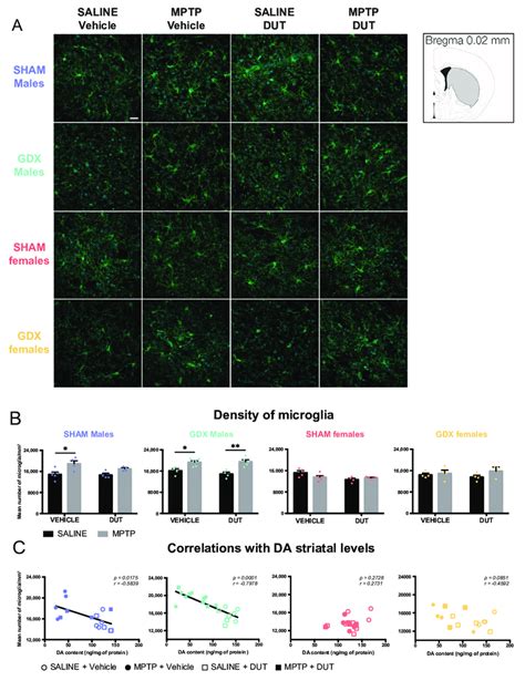 Effect Of Mice Gonadal Status Sham Gdx Mptp And Dutasteride Dut