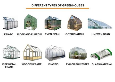 10 Different Types of Greenhouses | Structures and Designs