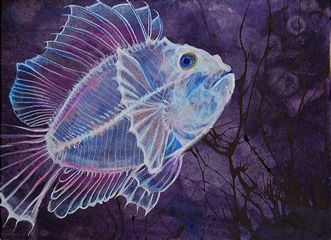 Translucent Fish W.I.P. by invisiblecolors on deviantART