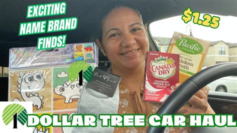 Dollar Tree Weekend Car Haul Amazing New Name Brand Finds All