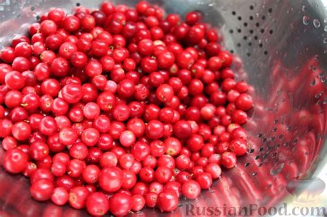 Рецепт: Брусничный морс на RussianFood.com