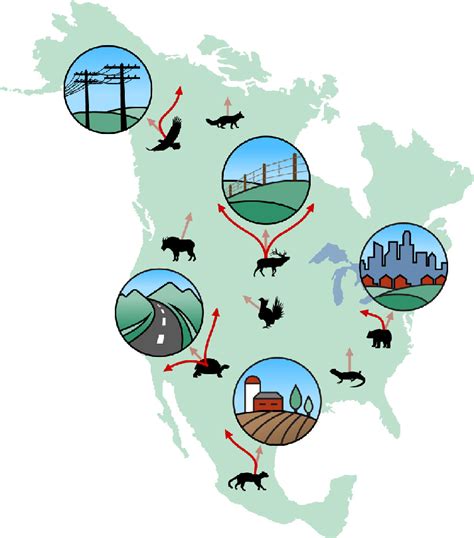 species    shift  geographic ranges  response
