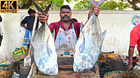 Kasimedu Speed Selvam Big Trevally Fish Cutting In Kasimedu K