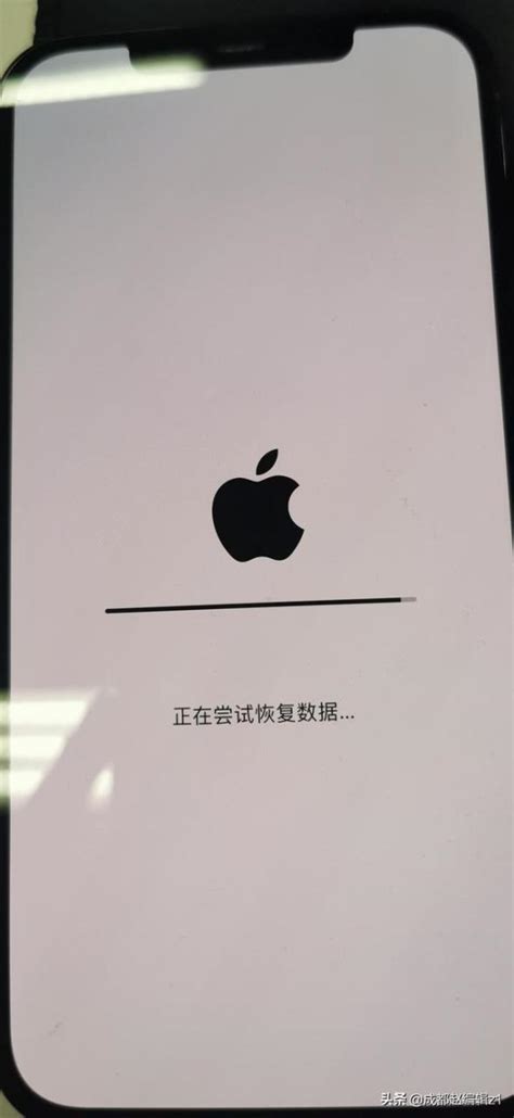 Iphone 12 Pro Max白苹果怎么办苹果12白苹果的简单修复方法 掘金咖