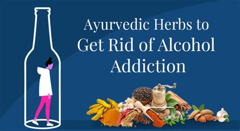 11 Most Powerful Ayurvedic Herbs for Alcohol Addiction