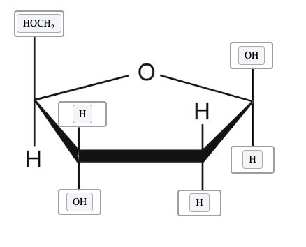 Nucleic Acid Structure Flashcards Quizlet