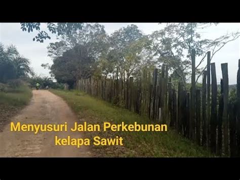 Menyusuri Jalan Perkebunan Sawit Dengan Pemandangan Yang Indah Youtube