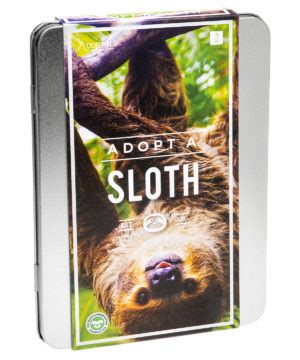 Sloth Adoption Kit: Support research and conservation to protect wild sloths.