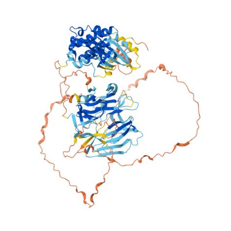 Rcsb Pdb Af Afq F Computed Structure Model Of Mitogen Activated