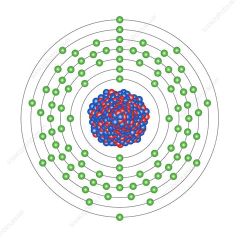 Uranium, atomic structure - Stock Image C013/1650 - Science Photo Library