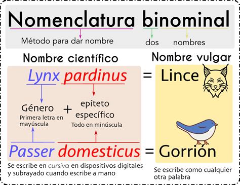 Nomenclatura Binomial