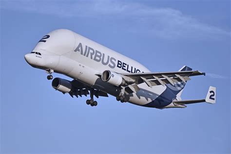 Airbus Beluga and Beluga XL Super Transporters