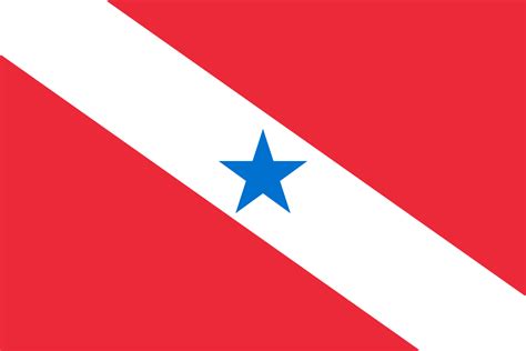 Bandeira Do Pará Desenho - 6