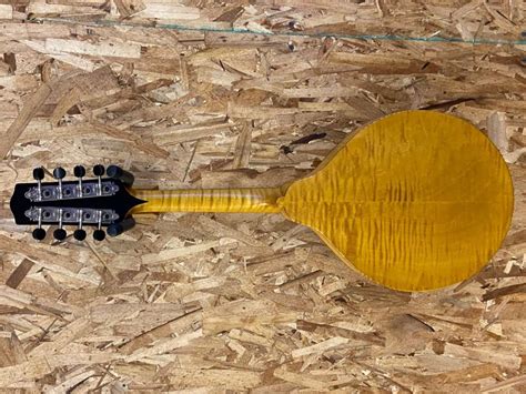 Pava Satin Model A 4 Mandolin Amber Mandolin Store