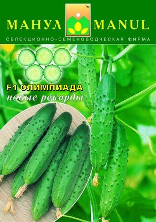 Урожайные пчелоопыляемые огурцы для засолки и салатов — Ботаничка
