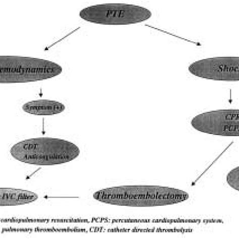 strategy  patients  pte  scientific diagram